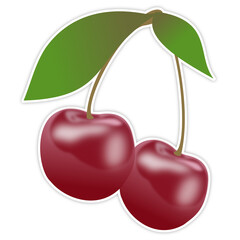 cherry fruit illustration 