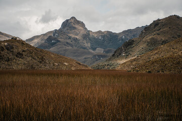 Landscape in the mountains