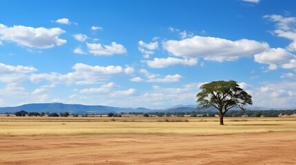 background African savannah with wildlife in the distance