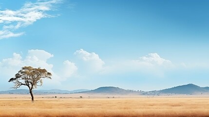 background African savannah with wildlife in the distance