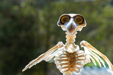 halloween toy bird skeleton decoration