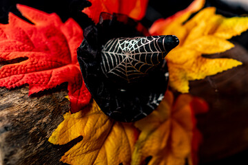 witch hat with spider web on autumn leaves
