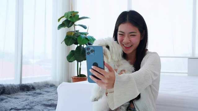 Beautiful young asian woman and dog selfie on smartphone together in bedroom at home, teenage and pet taking a photo for on social media with love of friendly and companion, lifestyles concept.