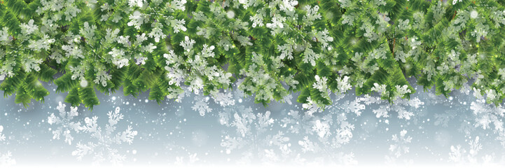 クリスマス　モミの木　雪　背景