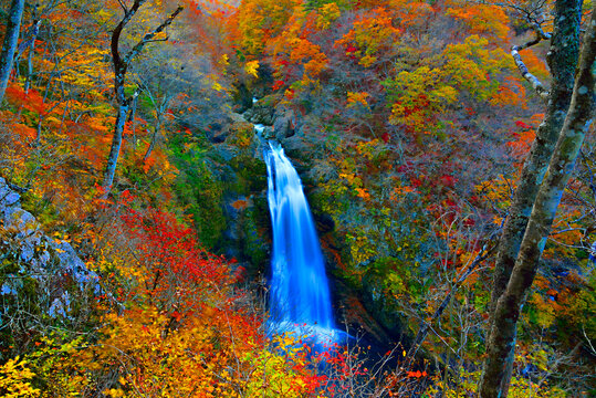Akiu Great Falls in Autumn, Japan,Miyagi prefecture,Sendai