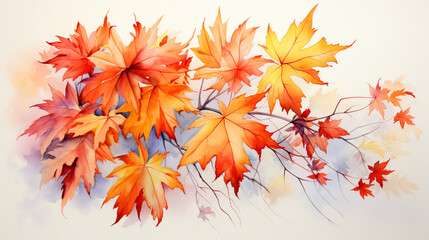 Naklejka na ściany i meble Watercolor painting of fully red Maple leaves in Autumn. 