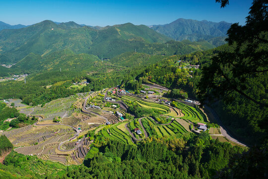 Maruyama rice terrace, Japan,Mie Prefecture,Kumano city