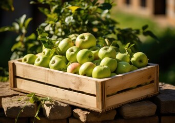 freshly picked apple in basket. wooden box with vegetables in field. Fresh Organic Vegetables from local producers. AI geneeative.