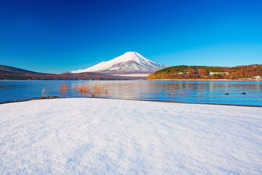 Fuji, snowfield and Lake Yamanakako, Yamanashi Prefecture,Minamitsuru District, Yamanashi,Yamanakako, Yamanashi,Japan