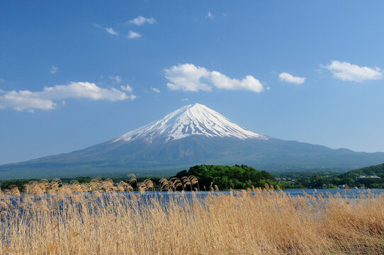 Mount Fuji, Japan,Yamanashi Prefecture,Fujikawaguchiko, Yamanashi