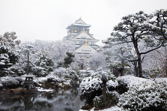Osaka Castle and snow, Chuo-ku, Osaka,Osaka Prefecture,Japan