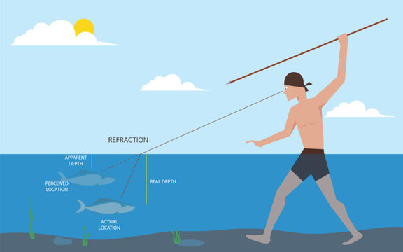 Refraction of light. When the light travels through the water Making the fish look shallow than true