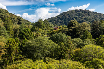 Kiyomizu-dera temple in sunny day. Kyoto, Japan.