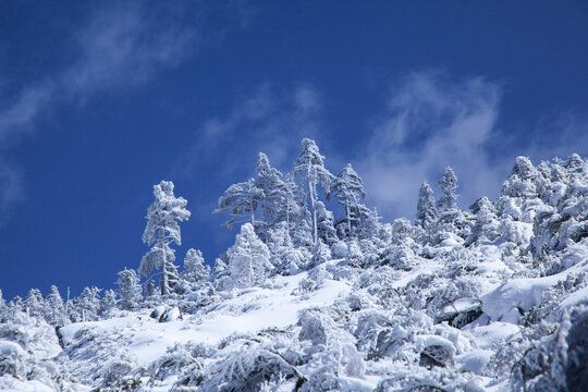 Blue sky and foggy ice, Japan,Nagano Prefecture,Chino city