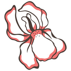 illustration of a flower