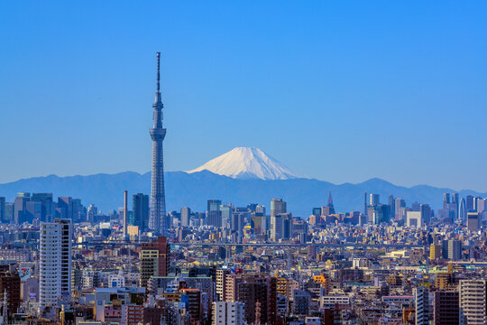 Tokyo sky tree and Mt Fuji, Japan,Chiba Prefecture,Ichikawa, Chiba