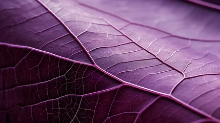 Papier Peint photo Lavable Photographie macro Detail of a purple leaf in macro with clear texture. generative AI