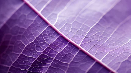 Papier Peint photo Lavable Photographie macro Detail of a purple leaf in macro with clear texture. generative AI