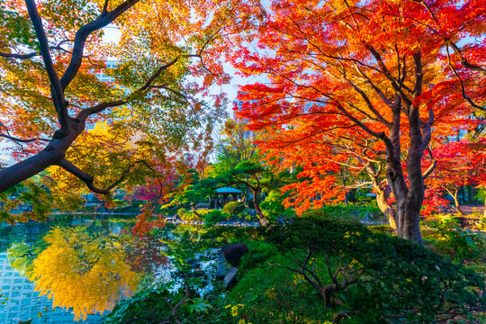 Hibiya Park in Autumn, Japan,Tokyo,Chiyoda, Tokyo