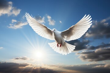 Fototapeta premium Flying white dove in the blue sky with sun. Freedom and peace concept, Generative AI