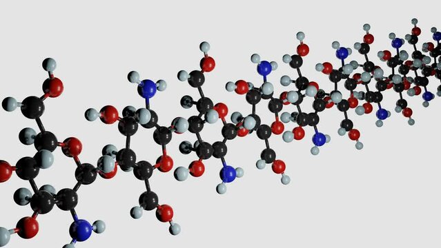 Chitin long chain isolated in the white background, Chitin is a long-chain polymer of N-acetylglucosamine molecules from polysaccharides family 3d rendering