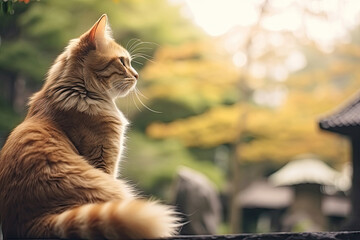 Obraz premium Close-up of a cat sitting in a park