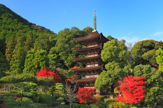 Autumn leaves at Ruriko-ji Temple, Japan,Yamaguchi Prefecture,Yamaguchi, Yamaguchi