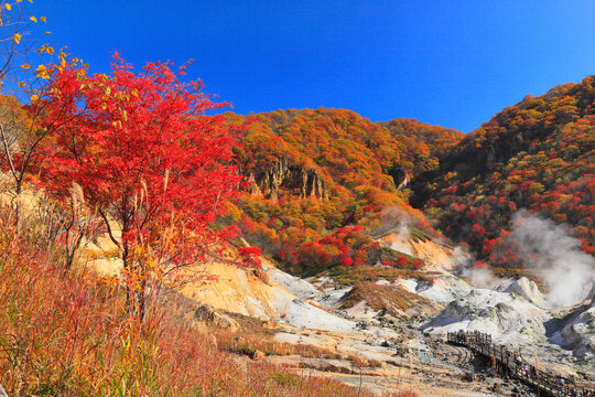 Autumn leaves in Jigokudani, Noboribetsu, Japan,Hokkaido,Noboribetsu, Hokkaido