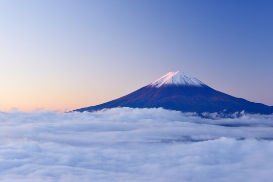 Fuji at dawn floating in the sea of clouds, Japan,Yamanashi Prefecture,Minamitsuru District, Yamanashi,Fujikawaguchiko, Yamanashi