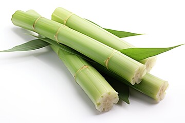 Sugarcane isolated on white background