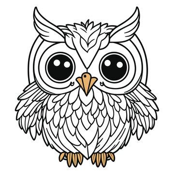 Premium Vector  Hand drawn owl in doodle style sketch. line art and color.  kids education