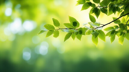 Fresh green leaves on blurred greenery background with bokeh effect, Generative AI