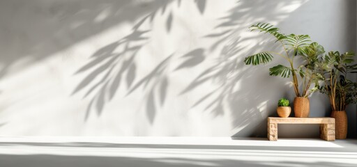 vase with plant on white wall background, Generative AI