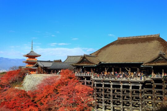 Autumn foliage of Kiyomizudera temple, Japan