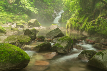 Lush green Hananuki Valley, Japan,Ibaraki Prefecture,Takahagi, Ibaraki,Hananuki Valley