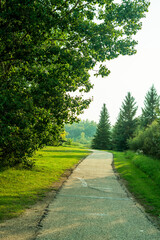 road in the forest