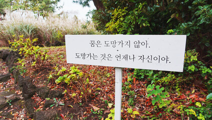 꿈에 대한 푯말
signpost to dreams