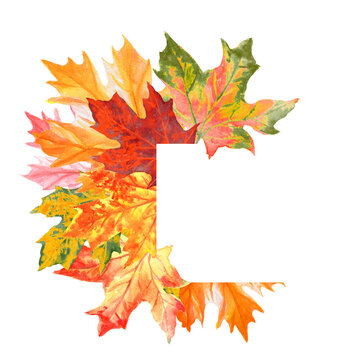 Vignette of bright watercolour autumn leaves