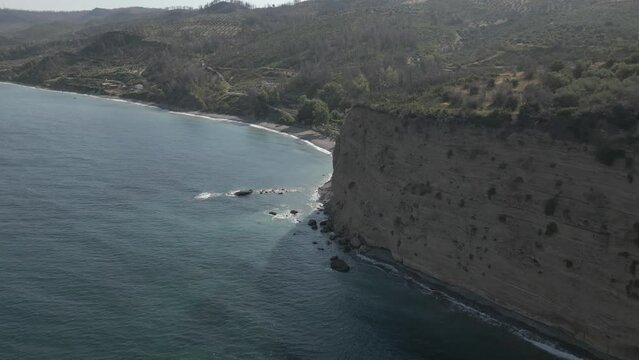 Aerial View of Beach with partly burned trees and Sea