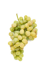 Green grape isolated on a white background.