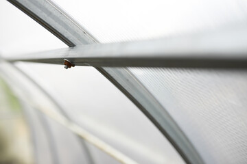 Greenhouse polycarbonate roof frame - spherical lines texture for background