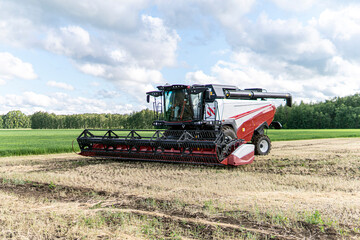 Fototapeta premium Combine harvester in a field against a background of blue sky and green grass. Working Harvesting Combines in the Field. Agriculture Concept.