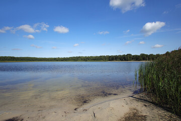 The natural Gorinsee in the Barnim Nature Park - Germany