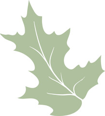 Hand drawn autumn bright leaves decoration