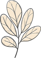 Hand drawn autumn leaves outline decoration