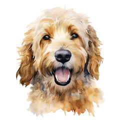 Goldendoodle portrait watercolor clipart on transparent background. Generative AI illustration