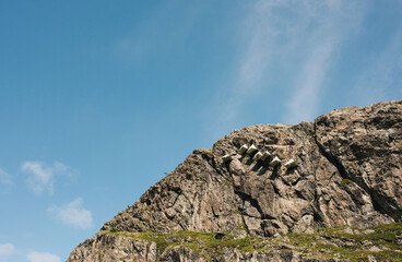 Portaledge tents hanging from a mountain face in Norway