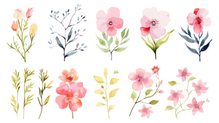 Set watercolor elements of pink roses; collection garden flowers; leaves; branches. Botanic Wedding floral design. Collection of greenery leaf plant forest herbs tropical leaves