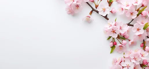 Rolgordijnen Fresh branch of white cherry blossoms, flat lay photography with copy space © Shiina shiro111