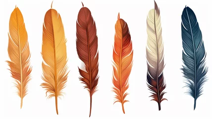 Glasbilder Federn set collection of feathers isolated on a background for design and overlay